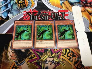 English version Kagetokage Rare, set of 3 Tera.