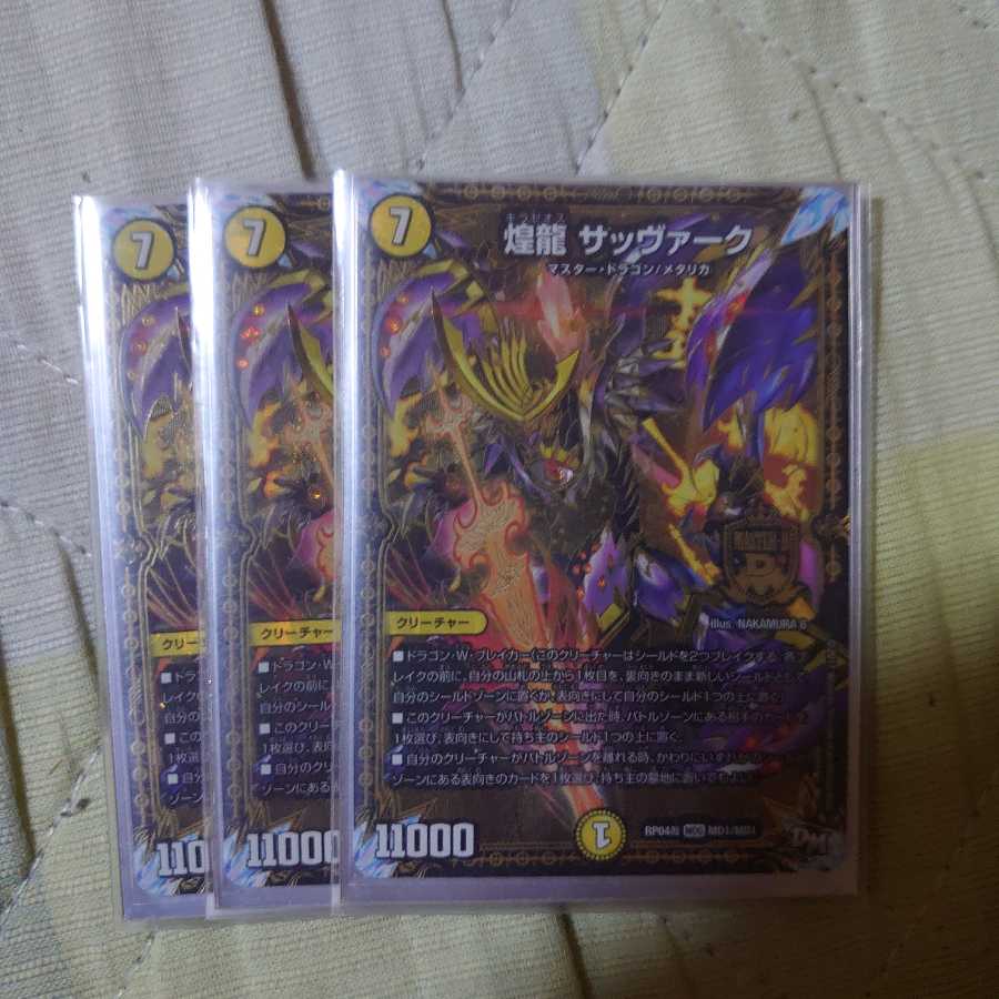 煌龍 サッヴァーク