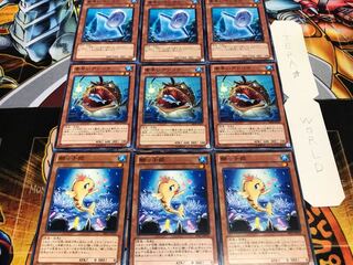 鰤っ子姫 素早いアンコウ マンボウ ノーマル 各3枚セット まとめ