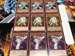 Light Lord Minerva Raikou Wolfe Normal Set of 3 each Conclusion