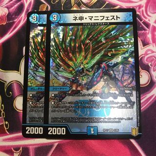 ネ申・マニフェスト