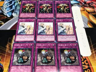 Cunning Solemn Warning Thunder of Ruler Normal Set of 3 each Summary