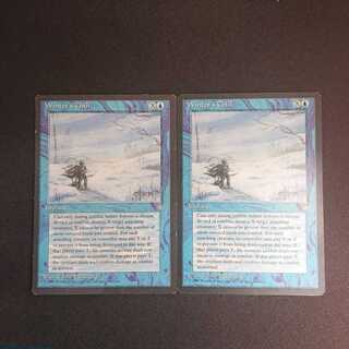 MTG3 Winter's Chill 2-card set