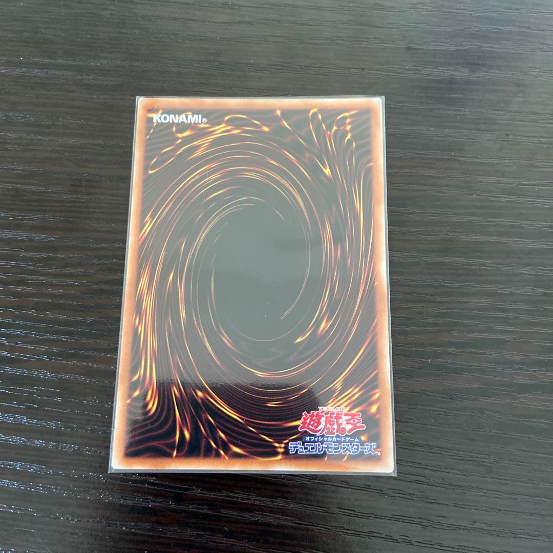 聖夜に煌めく竜　シークレット