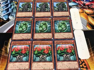 レギア ピース シャーマン レア 各3枚セット まとめ 3枚