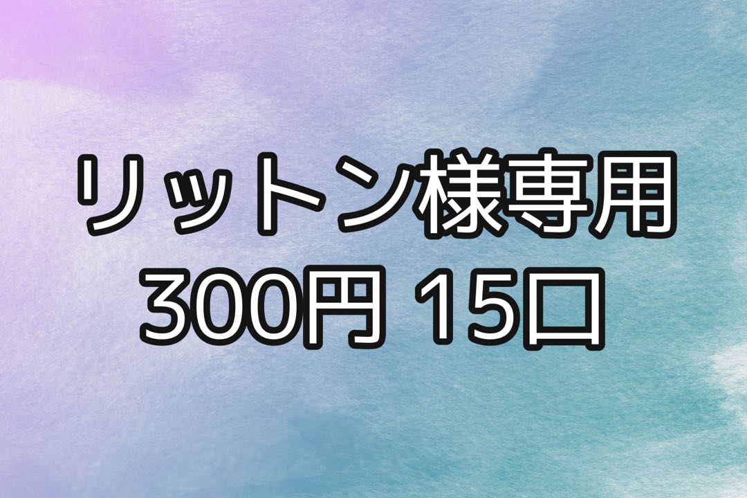 【300円】リットン様 専用 15口