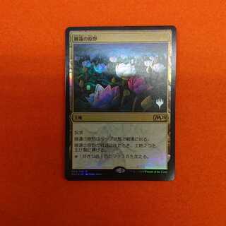 MTG1 睡蓮の原野 foil  【プレリリース】
