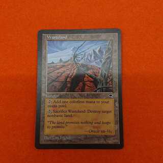MTG1 Wasteland English edition