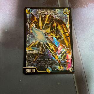 「雷光の聖騎士」