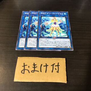 海晶乙女コーラルアネモネ ノーマル