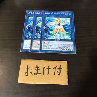 海晶乙女コーラルアネモネ ノーマル