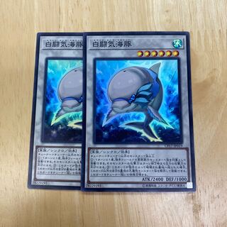 白闘気海豚 スーパーレア