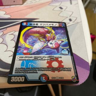 麗泳者 マツバメモノ(キンキラ王BOX仕様) 翌日発送