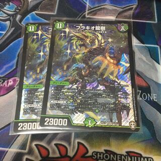 ブラキオ龍樹 SR