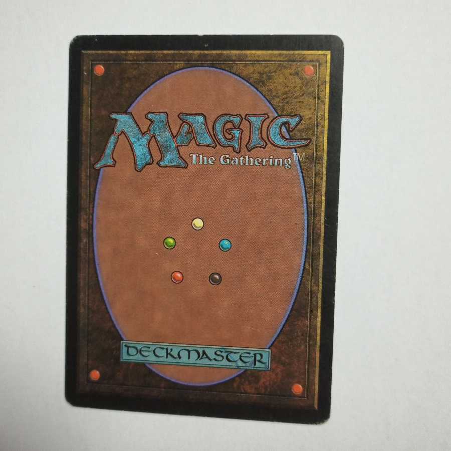 MTG　不毛の大地　日本語