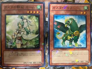 ガスタの静寂 カーム　ガスタ・グリフ