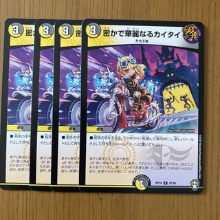 密かで華麗なるカイタイ