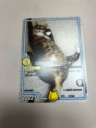 GRの猫 ニャンニャン