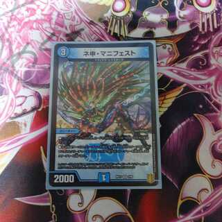 ネ申・マニフェスト