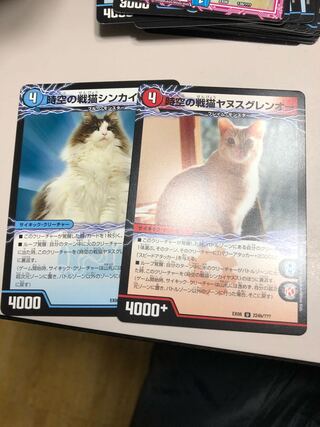 時空の戦猫シンカイヤヌス｜時空の戦猫ヤヌスグレンオー