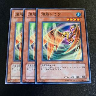 爆風トカゲ ノーマル