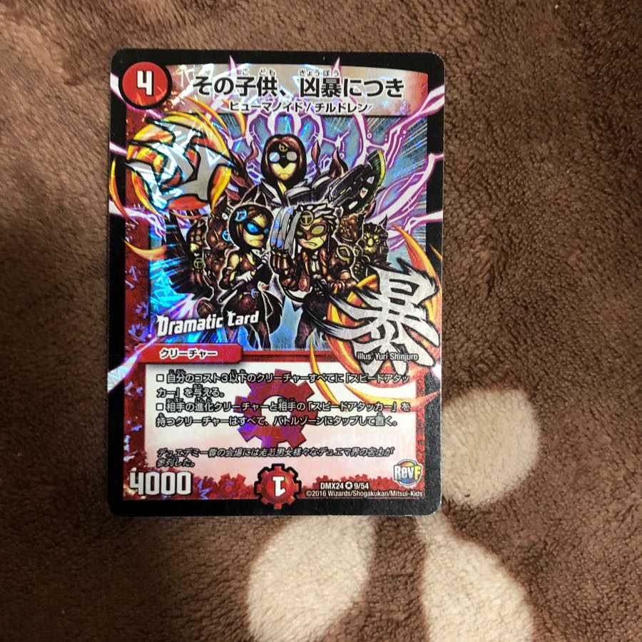 その子供、凶暴につき