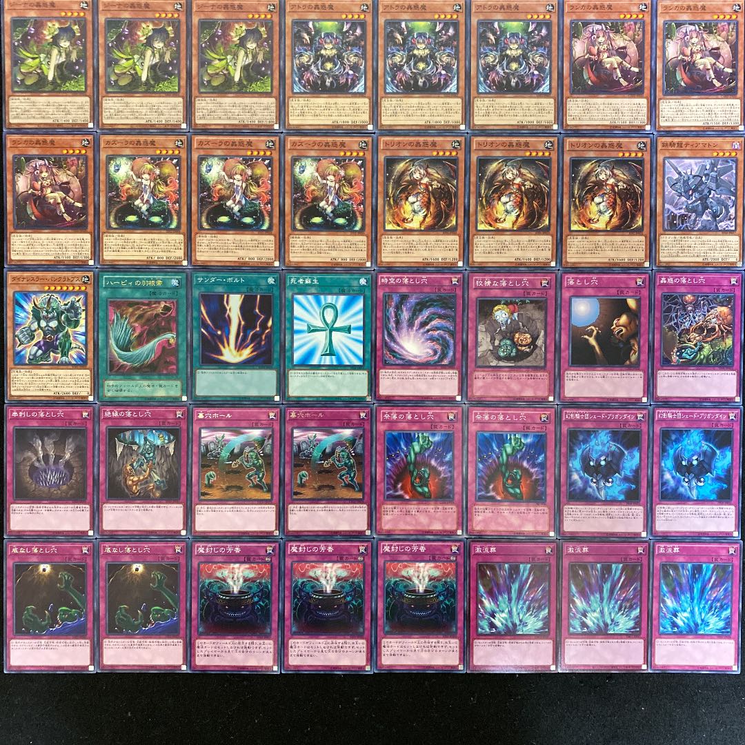 遊戯王 蟲惑魔デッキ40枚＋EX15枚（No.245）