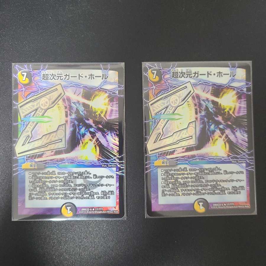 超次元ガード・ホール2枚セット