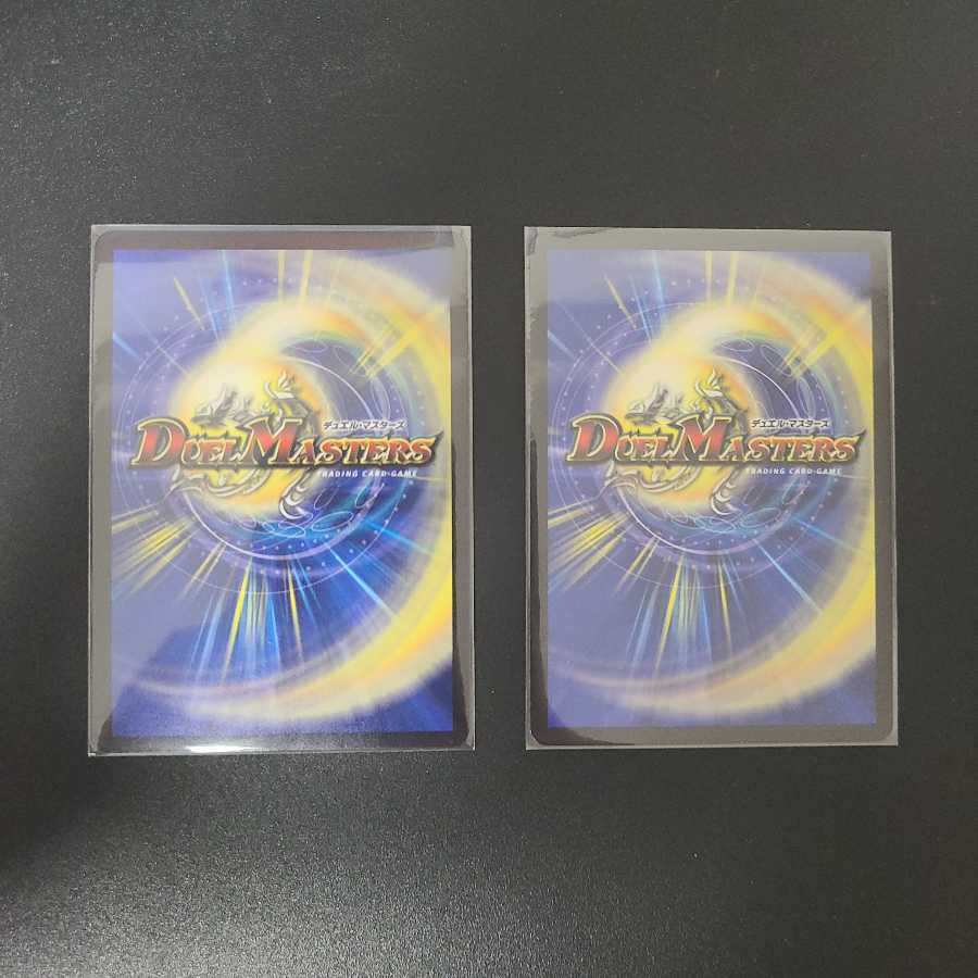 超次元ガード・ホール2枚セット