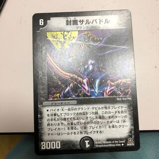 封魔サルバドル