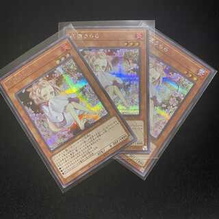 遊戯王 灰流うらら 絵違い シク ３枚