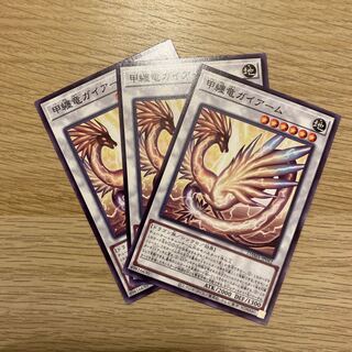 甲纏竜ガイアーム ノーマル