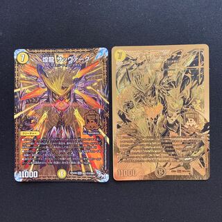 煌龍 サッヴァーク　2枚