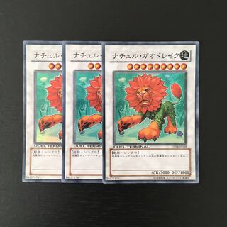 h76 ナチュル・ガオドレイク スーレア 3枚セット 遊戯王 トレトレ