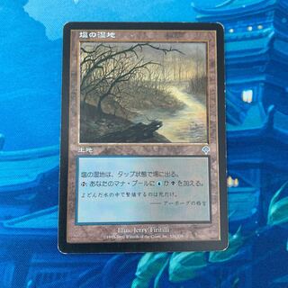 MTG 塩の湿地 1枚