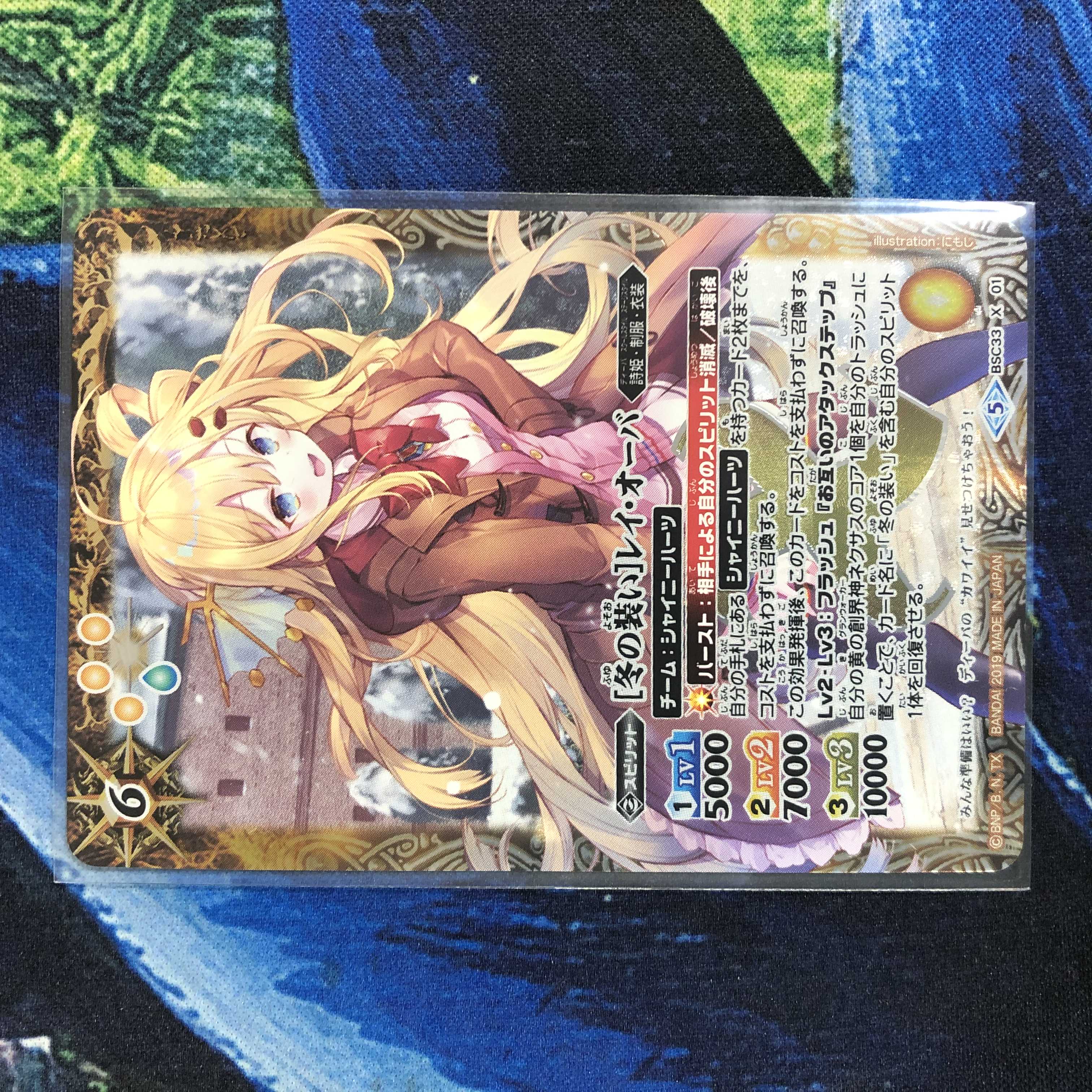 冬の装い レイオーバ