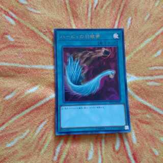 ハーピィの羽根帚 ウルトラレア