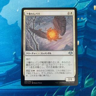 MTG  foil 夕暮れヒバリ