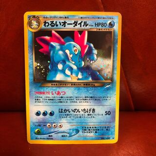 わるいオーダイル