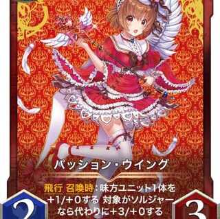 2枚セット パッション・ウイング