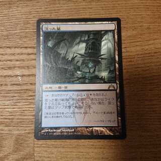 MTG レア 湿った墓