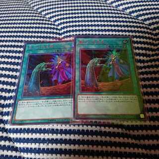 墓穴の指名者 シク×2枚