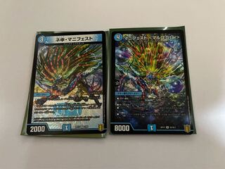 ポテト様専用　ネ申・マニフェスト