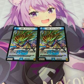 ネ申・マニフェスト　2枚セット