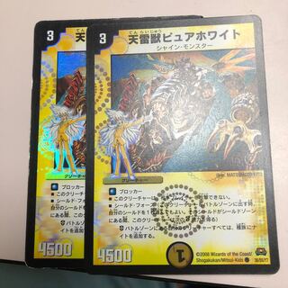 天雷獣ピュアホワイト(H.C)