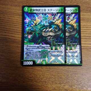 武家類武士目 ステージュラ