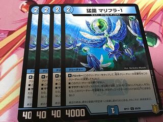 猛菌 マリフラ-1 4枚