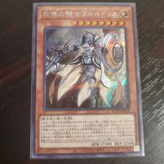 教導の騎士フルルドリス