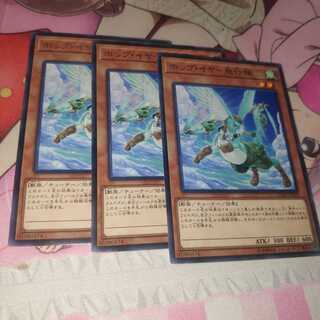 ホップ・イヤー飛行隊 レア