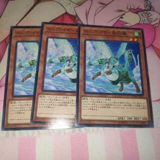 ホップ・イヤー飛行隊